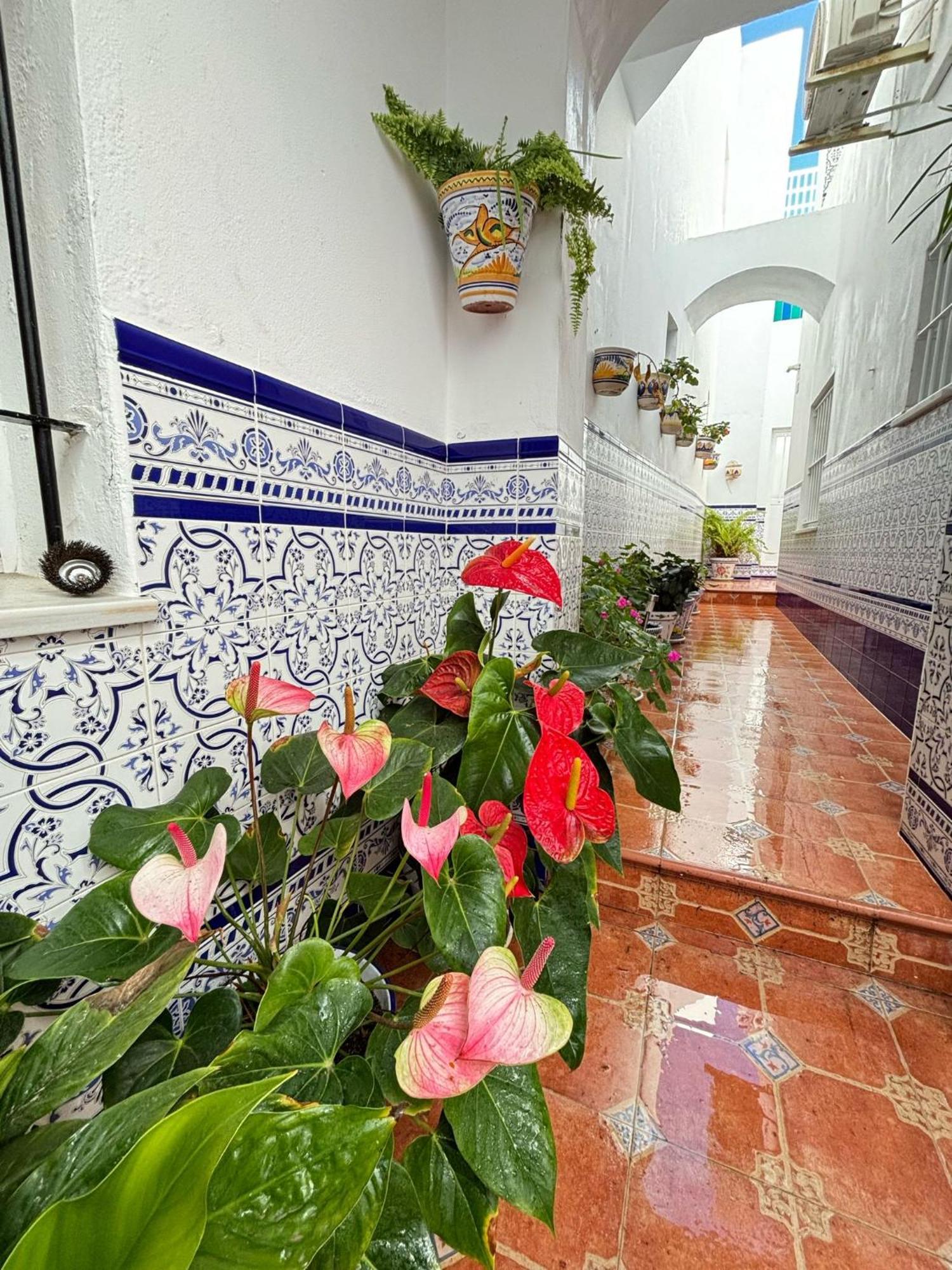 Pacoplaza Villa Conil De La Frontera Bagian luar foto